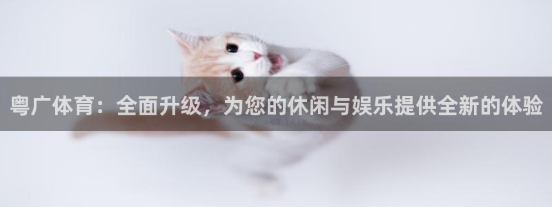 360直播nba无插件直播：粤广体育：全面升级，为您的休闲与娱乐提供全新的体验