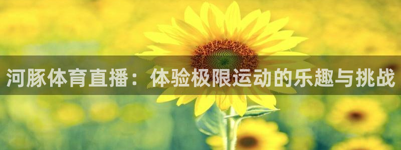雨燕360体育直播免费：河豚体育直播：体验极限运动的乐趣与挑战