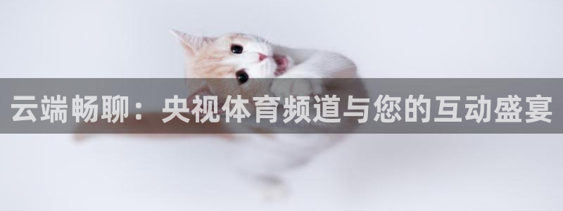 雨燕360足球直播免费观看：云端畅聊：央视体育频道与您的互动盛宴