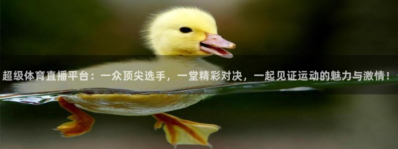 360足球直播赛事雨燕：超级体育直播平台：一众顶尖选手，一堂精彩对决，一起见证运动的魅力与激情！