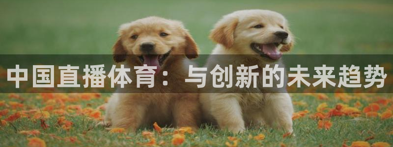 足球直播360：中国直播体育：与创新的未来趋势
