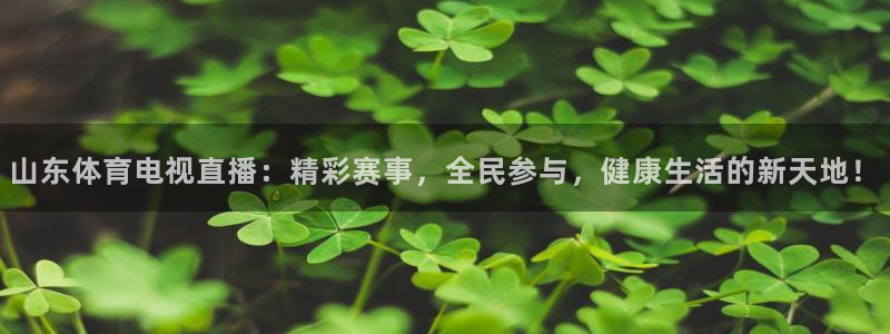 360无插件直播体育赛事直播：山东体育电视直播：精彩赛事，全民参与，健康生活的新天地！