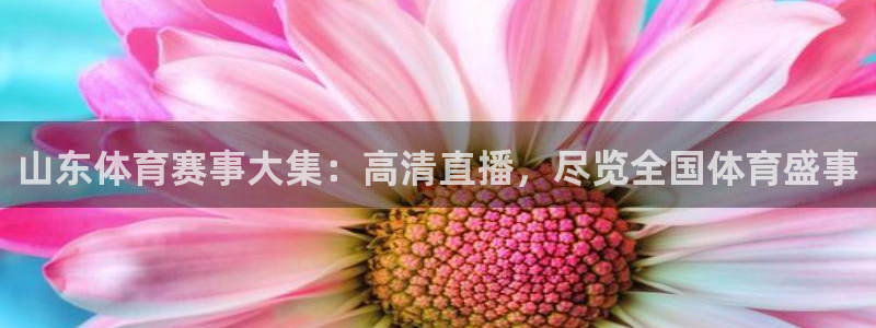 足球直播360直播视频：山东体育赛事大集：高清直播，尽览全国体育盛事