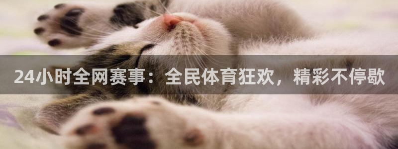 360直播绿色体育：24小时全网赛事：全民体育狂欢，精彩不停歇