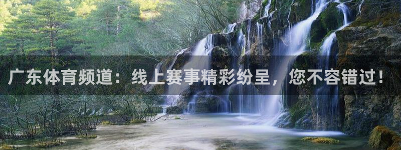 360足球体育直播免费观看：广东体育频道：线上赛事精彩纷呈，您不容错过！