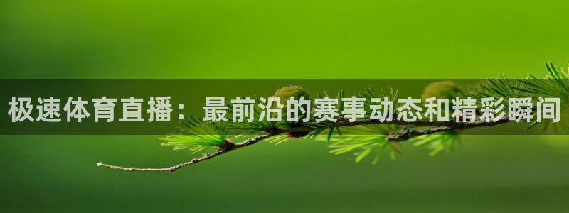 体育360直播：极速体育直播：最前沿的赛事动态和精彩瞬间