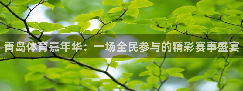 360直播无插件高清直播体育直播：青岛体育嘉年华：一场全民参与的精彩赛事盛宴